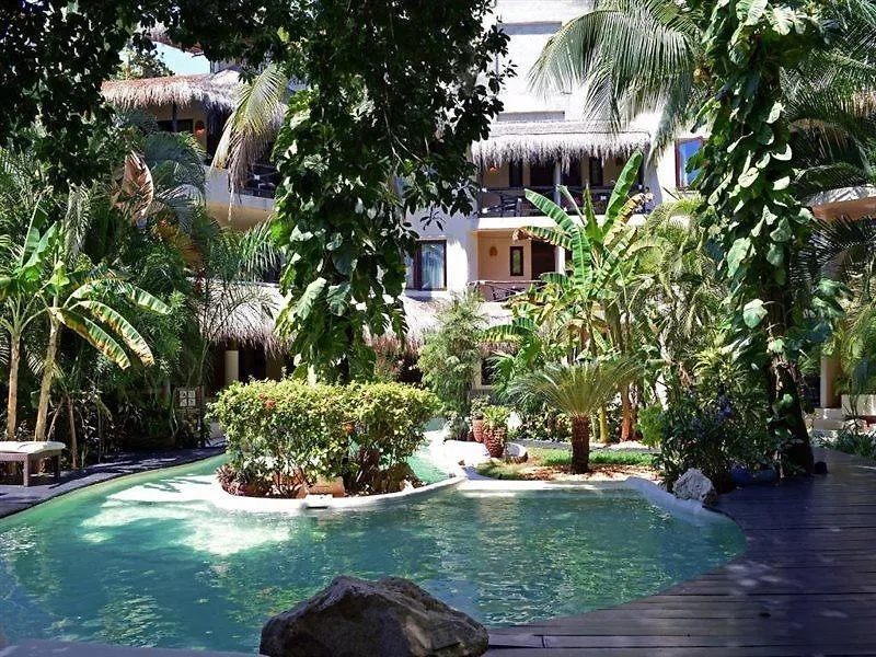 Tortuga Hotel Playa del Carmen