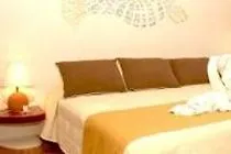 **  Tortuga Hotel Playa del Carmen Mexico