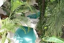 Tortuga Hotel Playa del Carmen